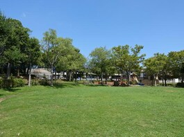 公園目の前です。ステキ