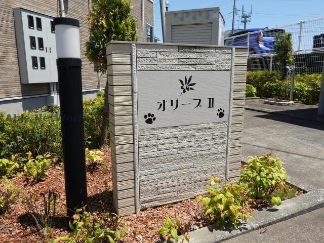  オリーブⅡ