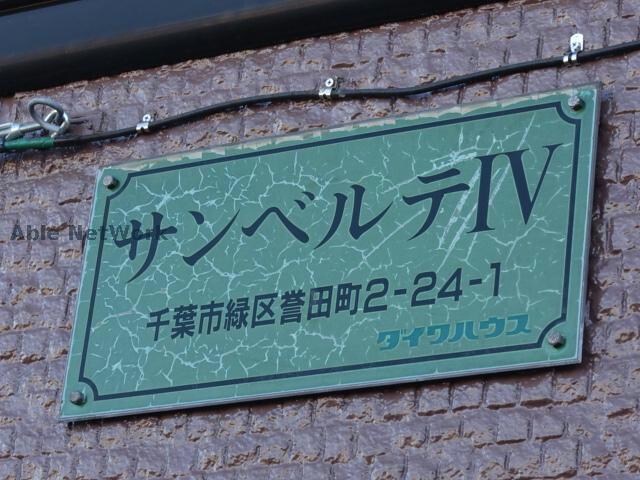  サンベルテⅣ