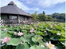 松波公園(公園)まで922m ウィズダム