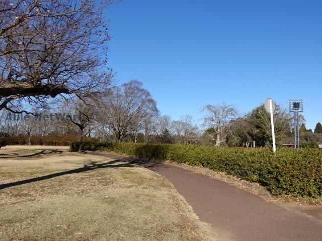 フォレストキャンプ(公園)まで1132m スカイパレットB