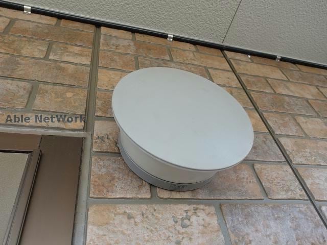  センプレヴェルデ