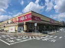 ベルクス仁戸名店(スーパー)まで1383m サニーコーポハセベ