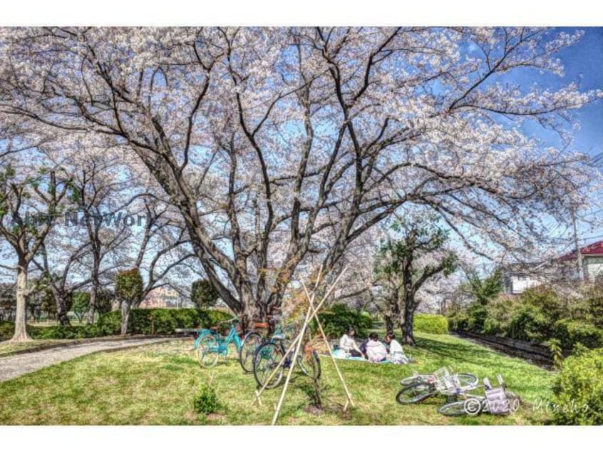 誉田南公園(公園)まで1135m メイヒルズ