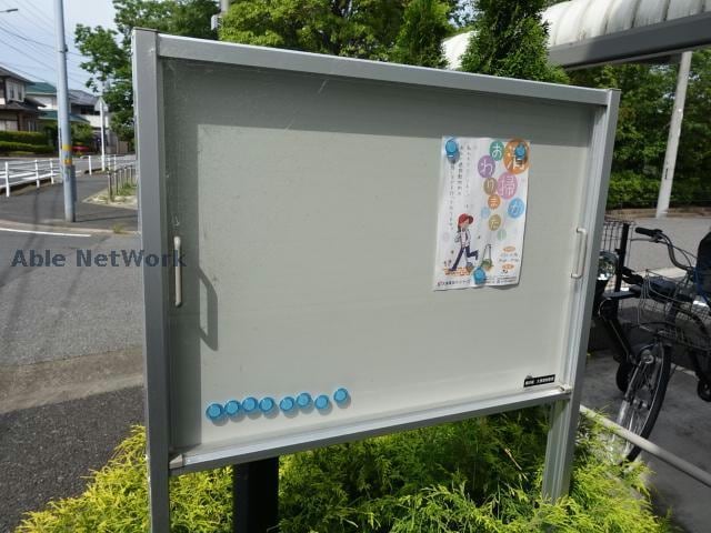  ベイサイド水草