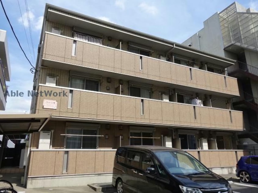  プランドール樹