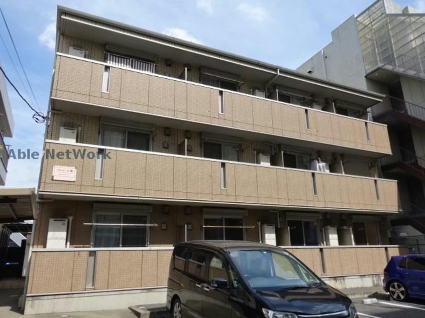  プランドール樹