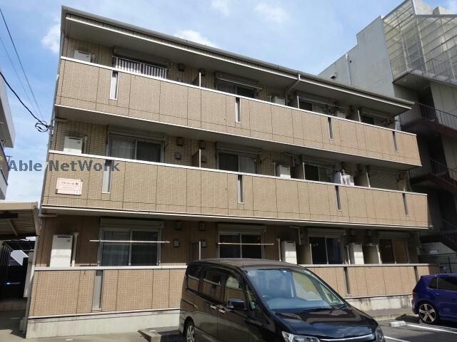  プランドール樹