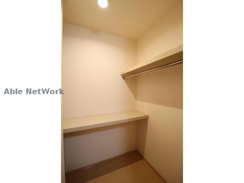  プランドール樹