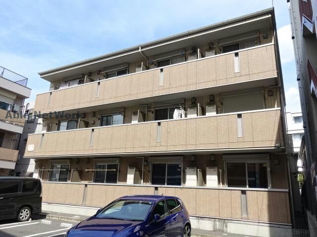  プランドール樹