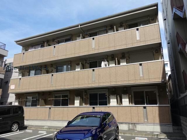  プランドール樹