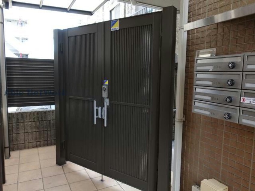  プランドール樹