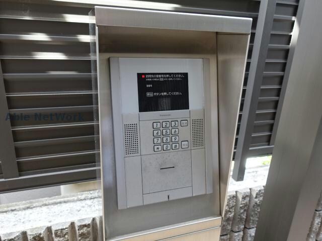  プランドール樹