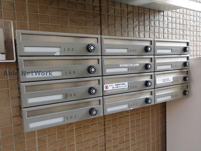  プランドール樹