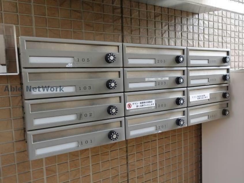  プランドール樹