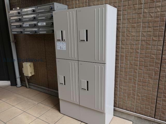  プランドール樹