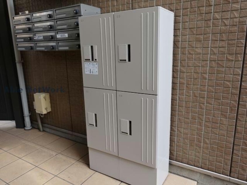  プランドール樹