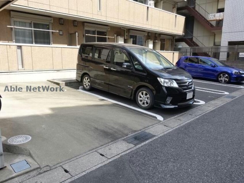  プランドール樹