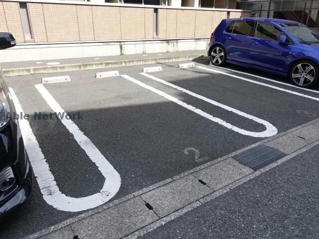  プランドール樹