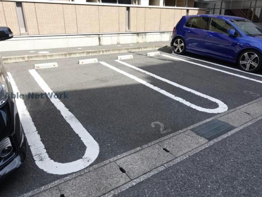  プランドール樹