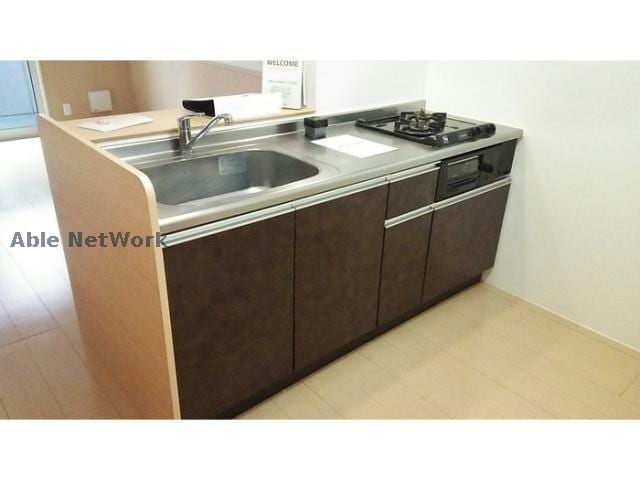  プランドール樹