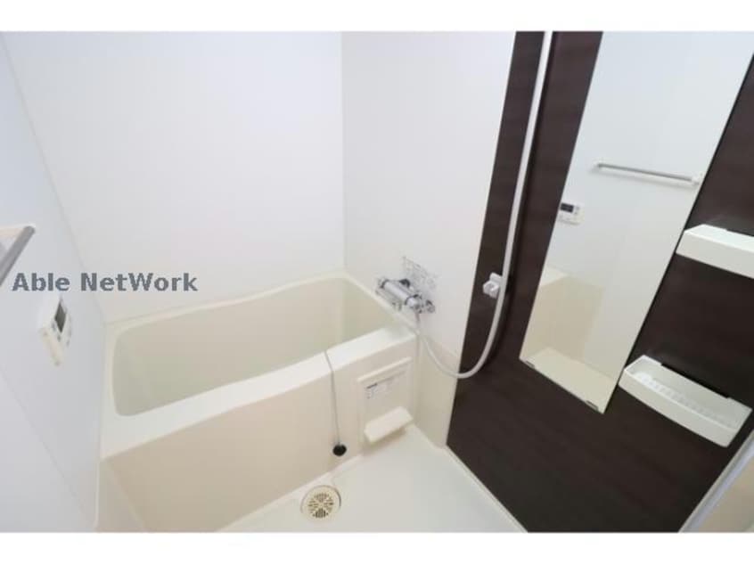  プランドール樹