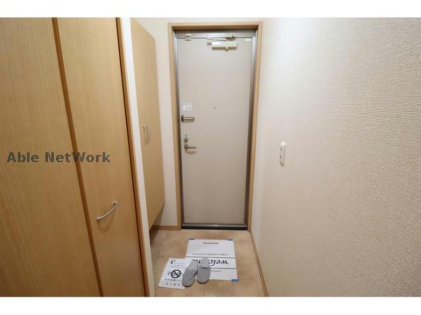  プランドール樹