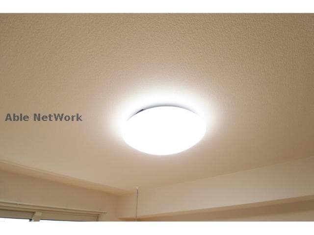  プランドール樹