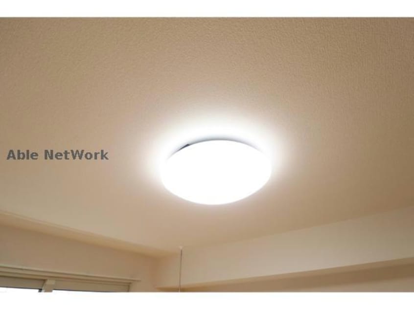  プランドール樹