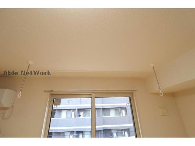  プランドール樹