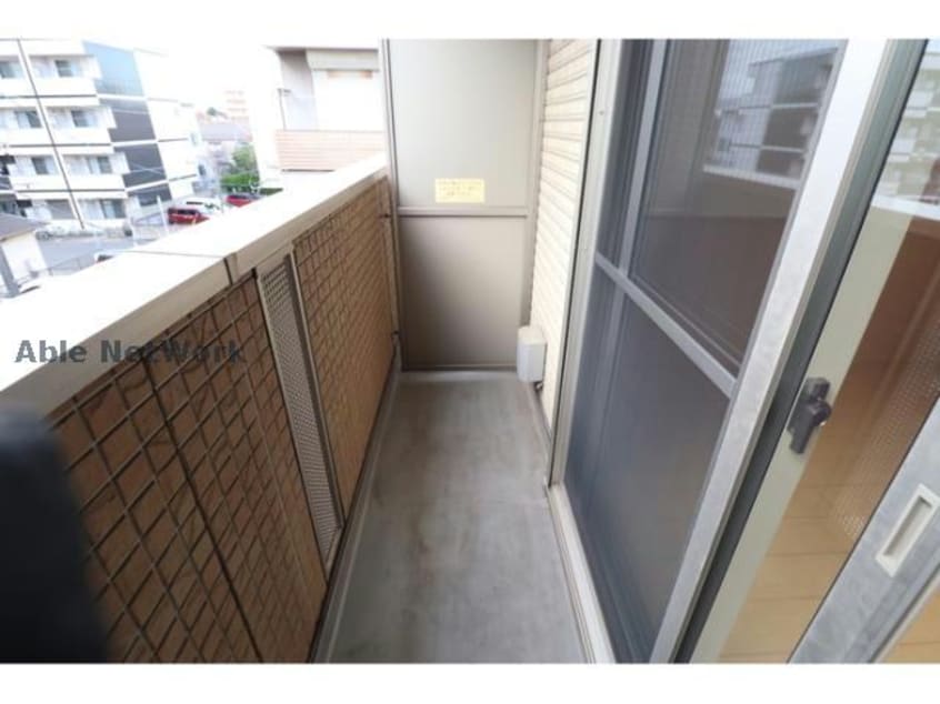  プランドール樹