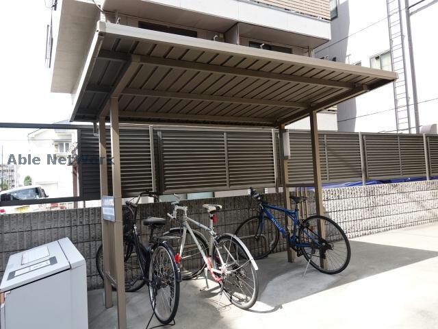  プランドール樹