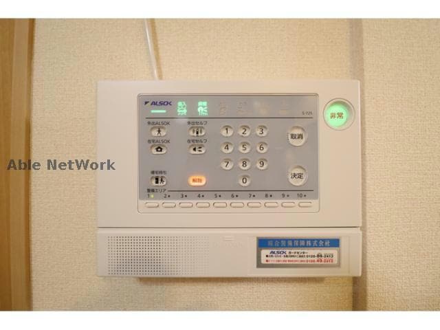  プランドール樹