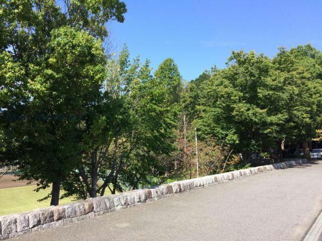 有吉公園(公園)まで309m ビューコート学園台