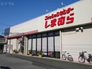 ファッションセンターしまむら国分寺台店(ショッピングセンター/アウトレットモール)まで1252m エオス仲久保B