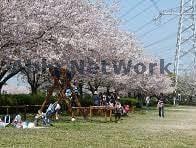 北五井緑道(公園)まで800m エオス仲久保B