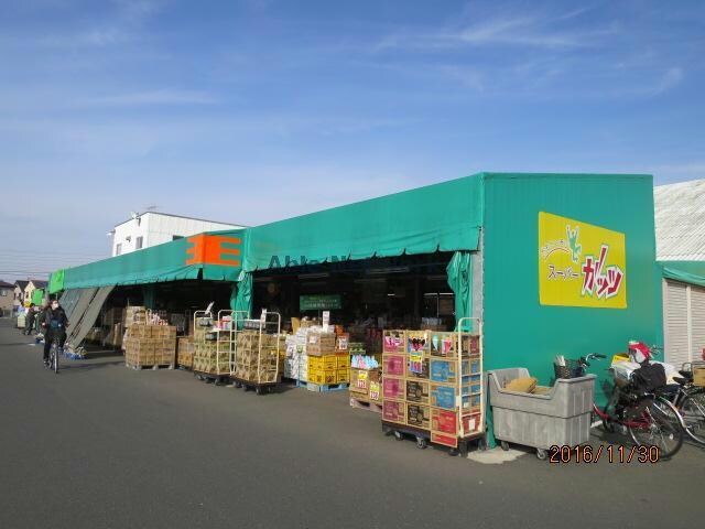 スーパーガッツ姉崎店(スーパー)まで999m ディオーネ