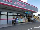 petit　madoca市原五所店(ドラッグストア)まで996m 内房線/八幡宿駅 徒歩19分 2階 築4年