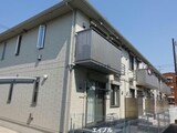c.セミカ