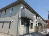 c.セミカ