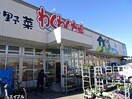 わくわく広場白金店(スーパー)まで1155m プランドール(五所)