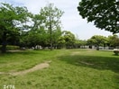 八幡公園(公園)まで1158m セレーノアキ