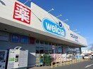 ウエルシア千葉誉田店(ドラッグストア)まで771m ケイアイランドA