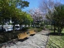青柳公園(公園)まで842m 内房線/五井駅 バス12分アピタ前下車:停歩2分 2階 築17年