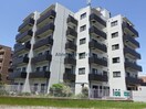  ARECX姉崎  アレックス姉崎