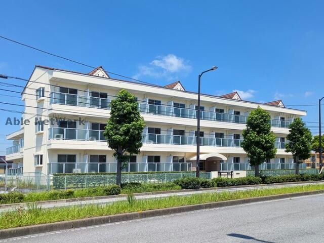  ハイムカメリア