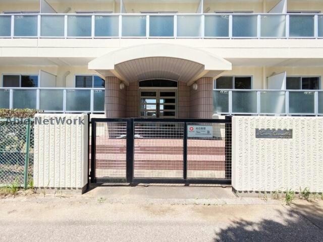  ハイムカメリア