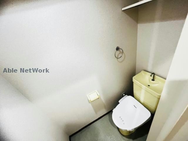  ハイムカメリア