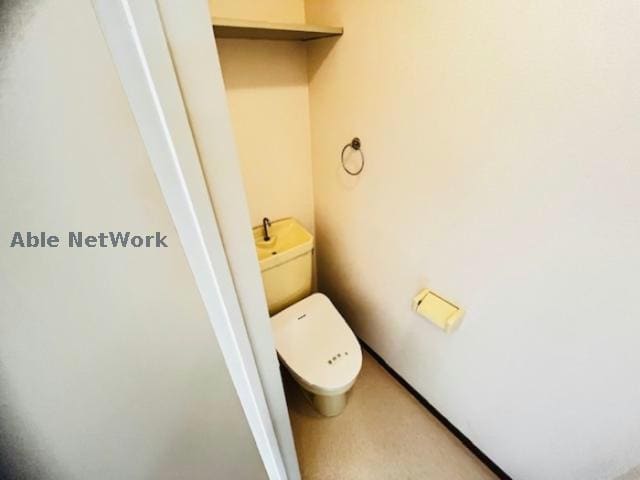  ハイムカメリア