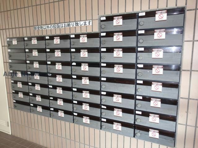  ハイムカメリア